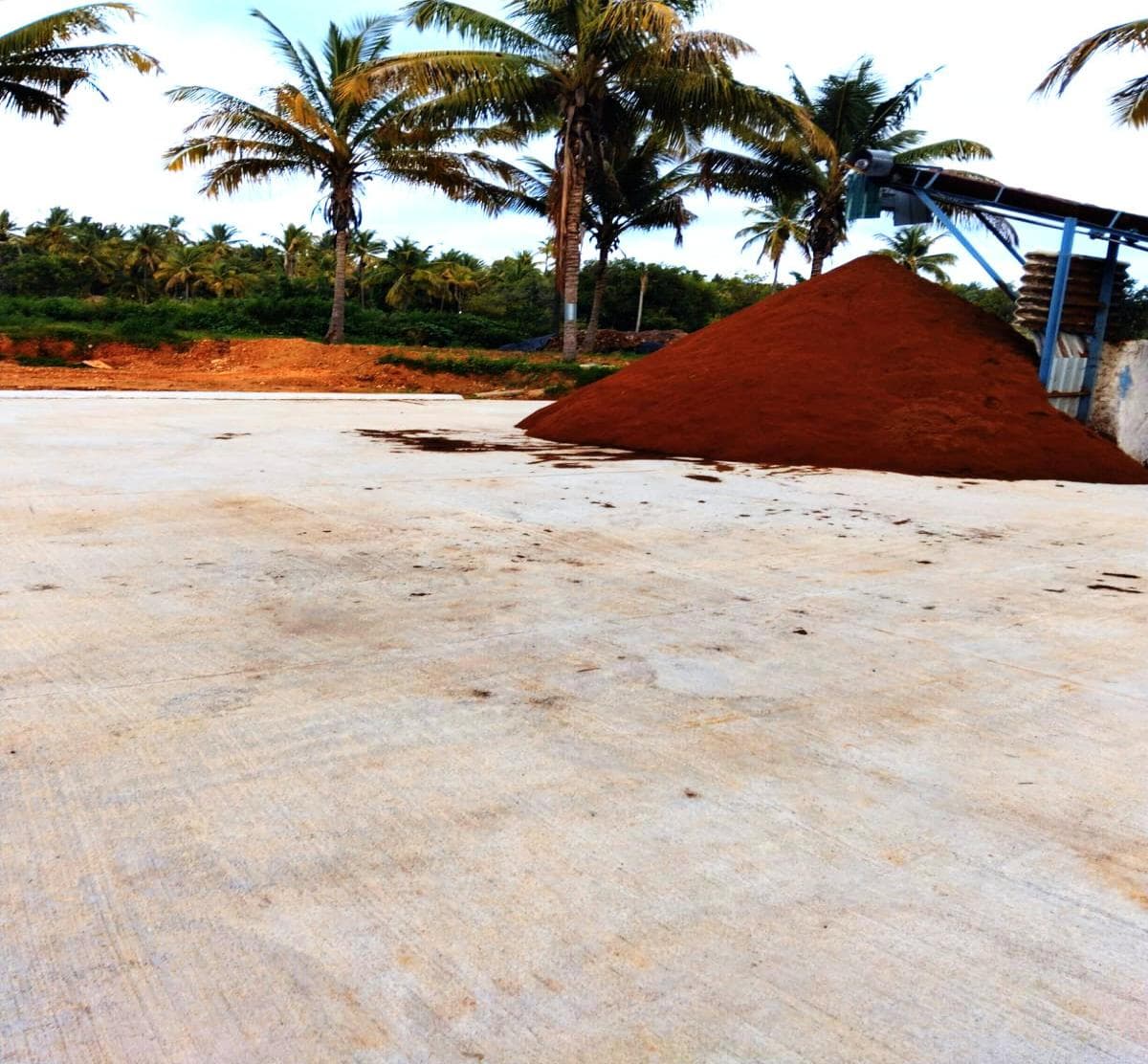 Coco pith discharged onto concreted floor to prevent soil contamination